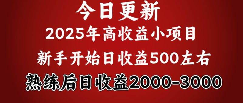 好项目一眼就能看出来，日收益1000，长久可做，2025拼的就是我比你勤奋-58创网