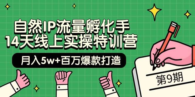 自然IP流量孵化手 14天线上实操特训营【第9期】月入5w+百万爆款打造 (74节)-58创网
