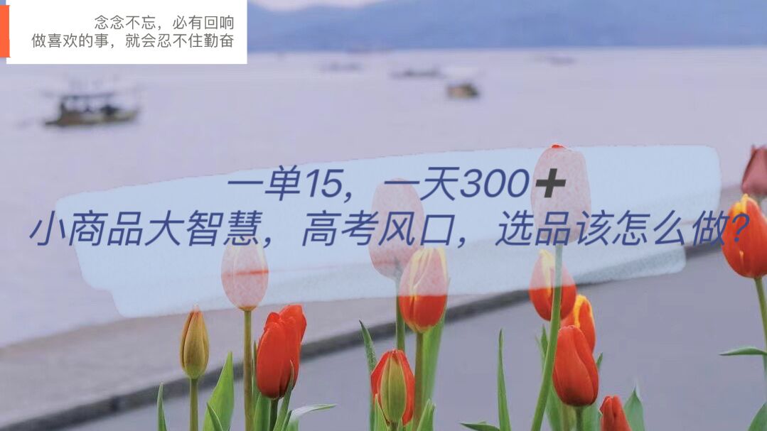 一单15，一天300+，小商品大智慧，高考风口，选品该怎么布局-58创网