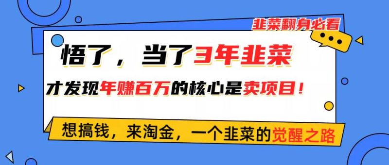 悟了，当了3年韭菜，才发现网赚圈年赚100万的核心是卖项目，含泪分享！-58创网