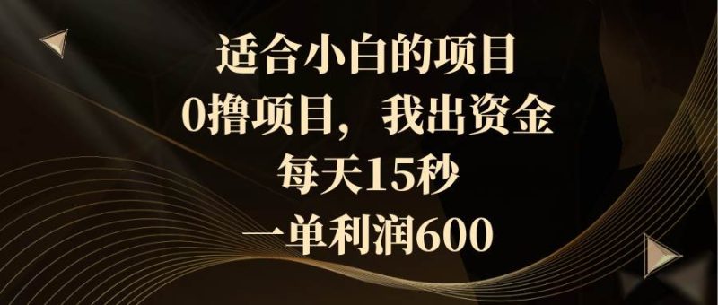 适合小白的项目，0撸项目，我出资金，每天15秒，一单利润600-58创网