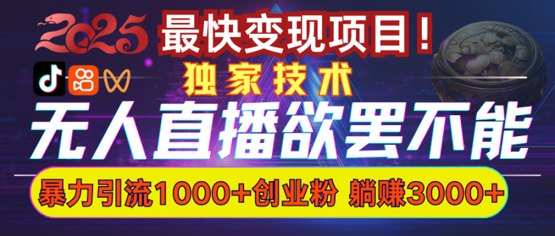 欲罢不能的无人直播引流，超暴力日引流1000+高质量精准创业粉-58创网
