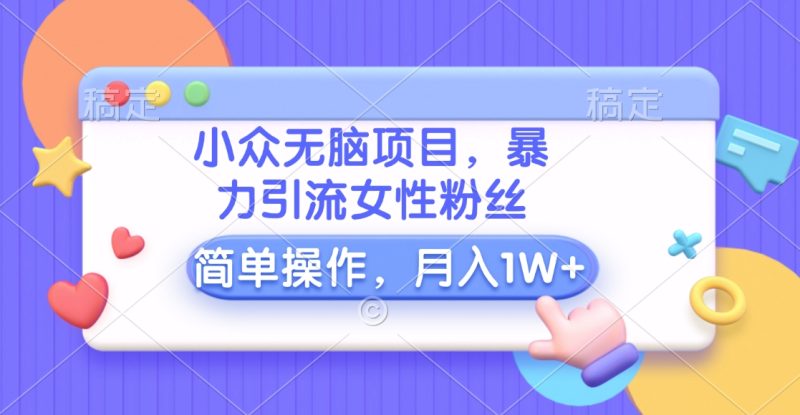 小众无脑项目，暴力引流女性粉丝，简单操作，月入10000+元-58创网