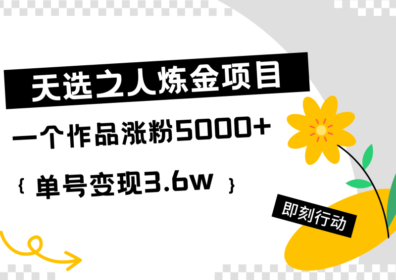 天选之人炼金热门项目，一个作品涨粉5000+，单号变现3.6w-58创网