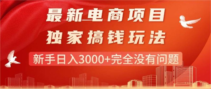 最新电商项目-搞钱玩法，新手日入3000+完全没有问题-58创网