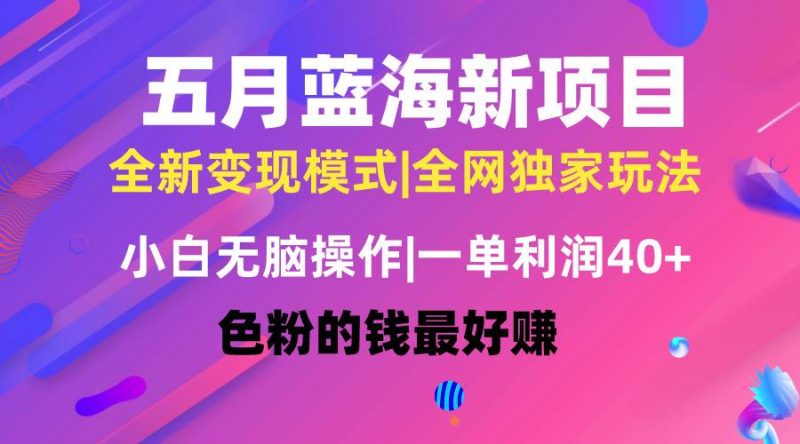 五月蓝海项目全新玩法，小白无脑操作，一天几分钟，矩阵操作，月入4万+-58创网