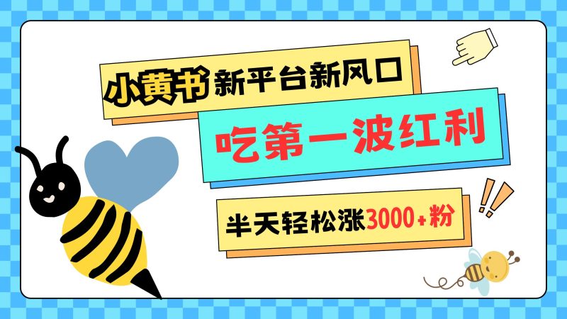 网易版小红书重磅来袭，新平台新风口，管理宽松，半天轻松涨3000粉，第一波红利等你来吃-58创网