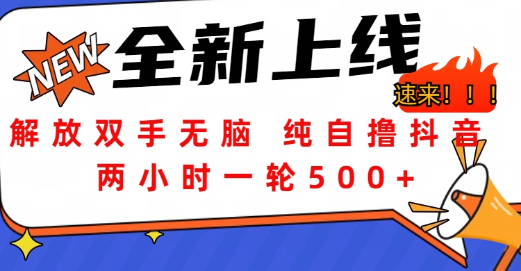 解放双手无脑 纯自撸抖音 两小时一轮500+-58创网