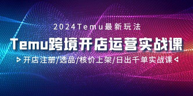 2024Temu跨境开店运营实战课，开店注册/选品/核价上架/日出千单实战课-58创网