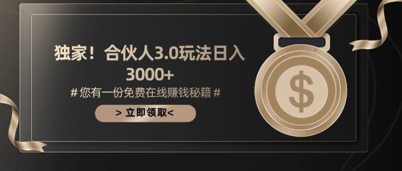 游戏合伙人3.0，日入3000+，无限扩大的蓝海项目-58创网