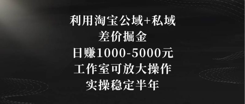 利用淘宝公域+私域差价掘金，日赚1000-5000元，工作室可放大操作，实操…-58创网