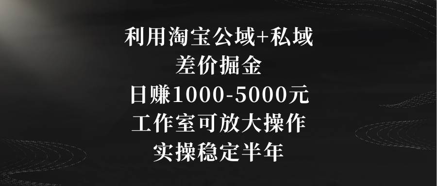 利用淘宝公域+私域差价掘金，日赚1000-5000元，工作室可放大操作，实操…-58创网