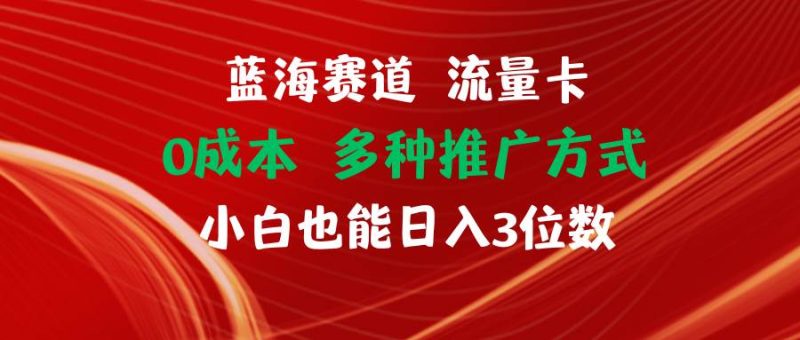 蓝海赛道 流量卡 0成本 小白也能日入三位数-58创网