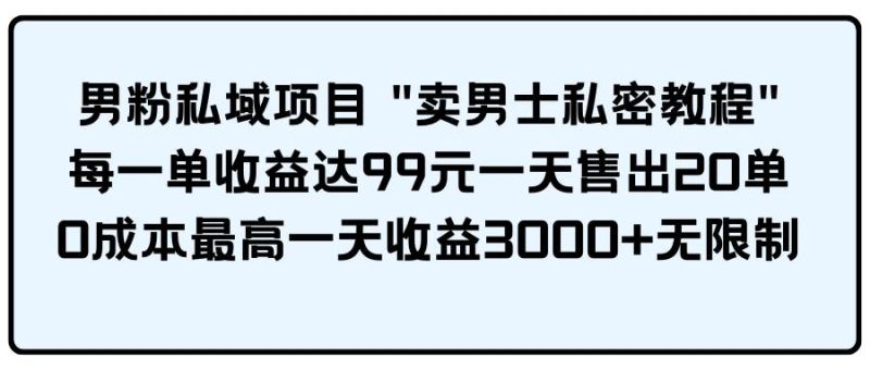 男粉私域项目 卖男士私密教程 每一单收益达99元一天售出20单-58创网
