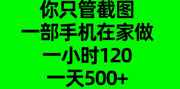 你只管截图，一部手机在家做，一小时120，一天500+-58创网
