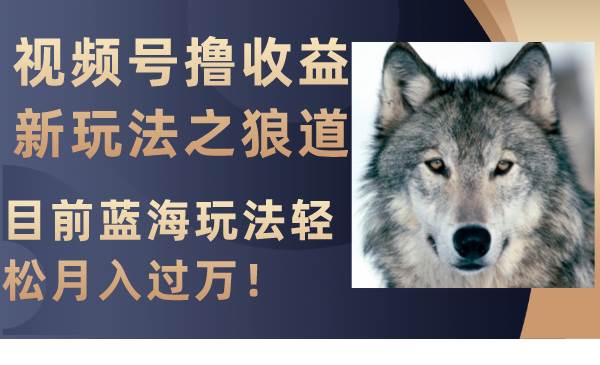 视频号撸收益新玩法之狼道，目前蓝海玩法轻松月入过万！-58创网