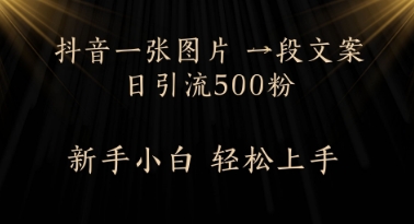每天2分钟，抖音一张图片 一段文案日引流500粉-58创网