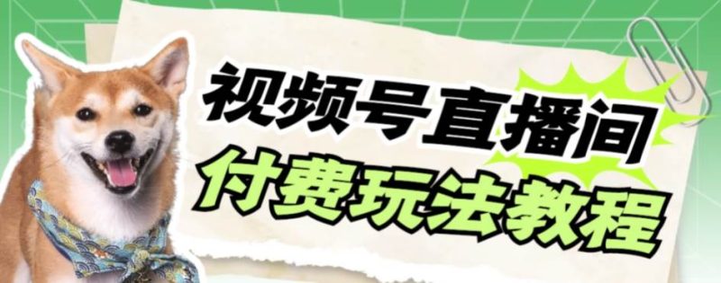 视频号美女付费无人直播，轻松日入500+【详细玩-58创网