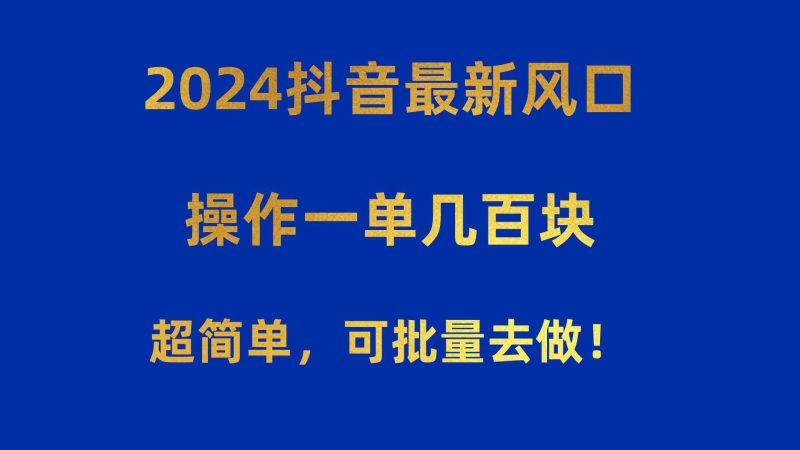 2024抖音最新风口！操作一单几百块！超简单，可批量去做！！！-58创网
