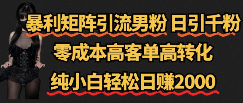 暴利矩阵引流男粉（日引千粉），零成本高客单高转化，纯小白轻松日赚2000+-58创网