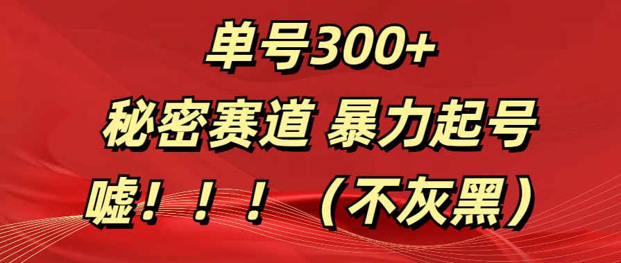 单号300+ 秘密赛道 暴力起号 （不灰黑）-58创网