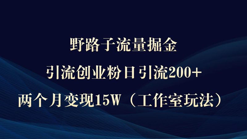 野路子流量掘金，引流创业粉日引流200+，两个月变现15W（工作室玩法））-58创网