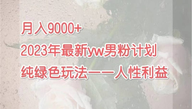 月入9000+2023年9月最新yw男粉计划绿色玩法——人性之利益-58创网