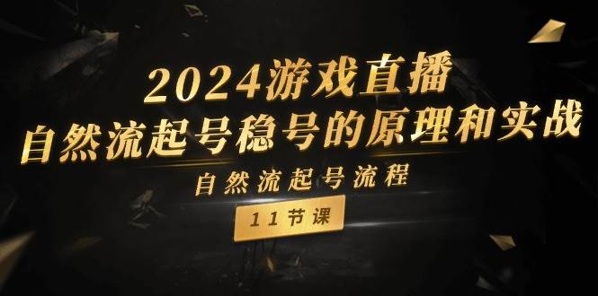 2024游戏直播-自然流起号稳号的原理和实战，自然流起号流程（11节）-58创网