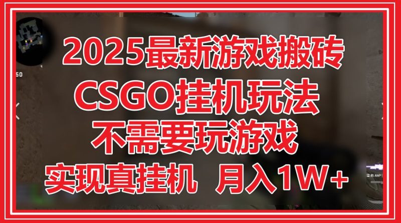 2025最新游戏搬砖，CSGO挂机，不需要玩游戏，实现真挂机，月入1W+-58创网
