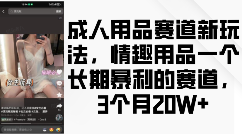 情趣用品一个长期暴利的赛道，成人用品赛道新玩法，3个月20W+-58创网