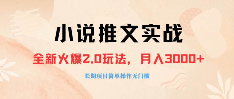 外面收费990的小说推广软件，零粉丝可变现，月入3000+，小白当天即上手-58创网