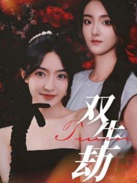 双生劫 (2024)-多米联创