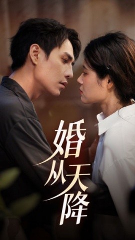 婚从天降 (2024)-多米联创