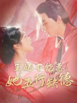 王妃不能惹她五行缺德 (2024)-多米联创