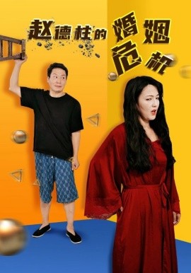 赵德柱的婚姻危机 (2024)-多米联创