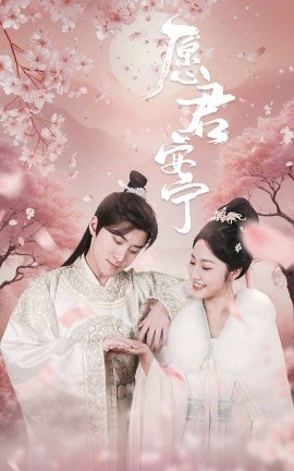 愿君安宁 (2025)-多米联创