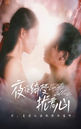 夜夜绮梦扰君心（50集）徐俊宁＆袁宁 (2025)-多米联创