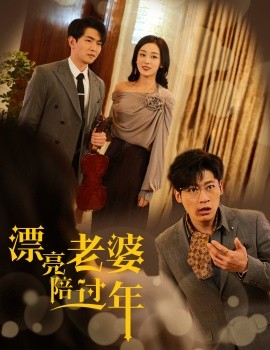 漂亮老婆陪过年 (2025)-多米联创