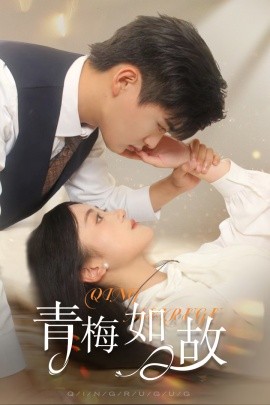 青梅如故 (2024)-多米联创