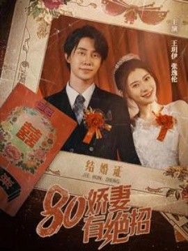 80娇妻有绝招 (2024)-多米联创