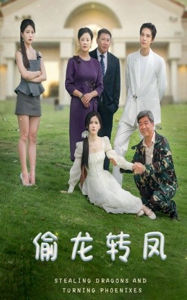 偷龙转凤 (2024)-多米联创