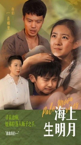 海上生明月 (2024)-多米联创