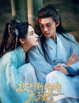 披荆斩棘的太子妃 (2025)-多米联创
