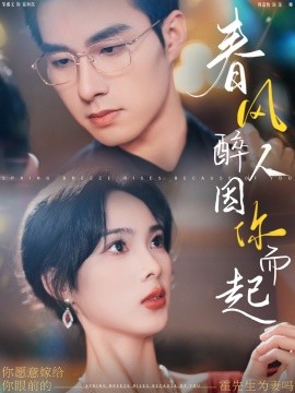 春风醉人因你而起 (2024)-多米联创
