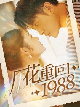 厂花重回1988 (2024)-多米联创