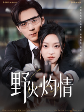 野火灼情 (2025)-多米联创
