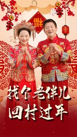 找个老伴儿回村过年 (2025)-多米联创