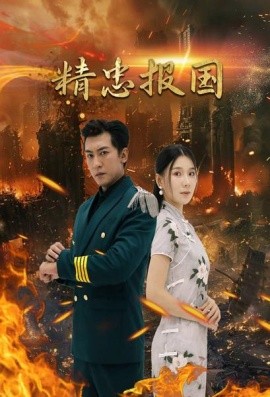 精忠报国 (2024)-多米联创