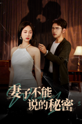 妻子不能说的秘密 (2024)-多米联创