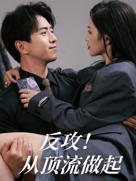 反攻！从顶流做起 (2024)-多米联创